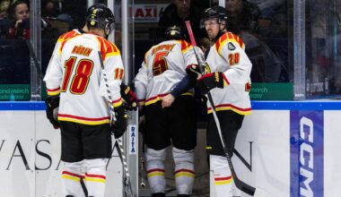 Mardröm för Brynäs – Michal Kempny klev av | SHL