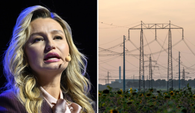 Buschs missnöje – innan Per Eckemark fick lämna