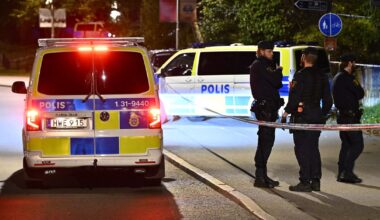 Tonåring åtalas för skott mot Israels ambassad