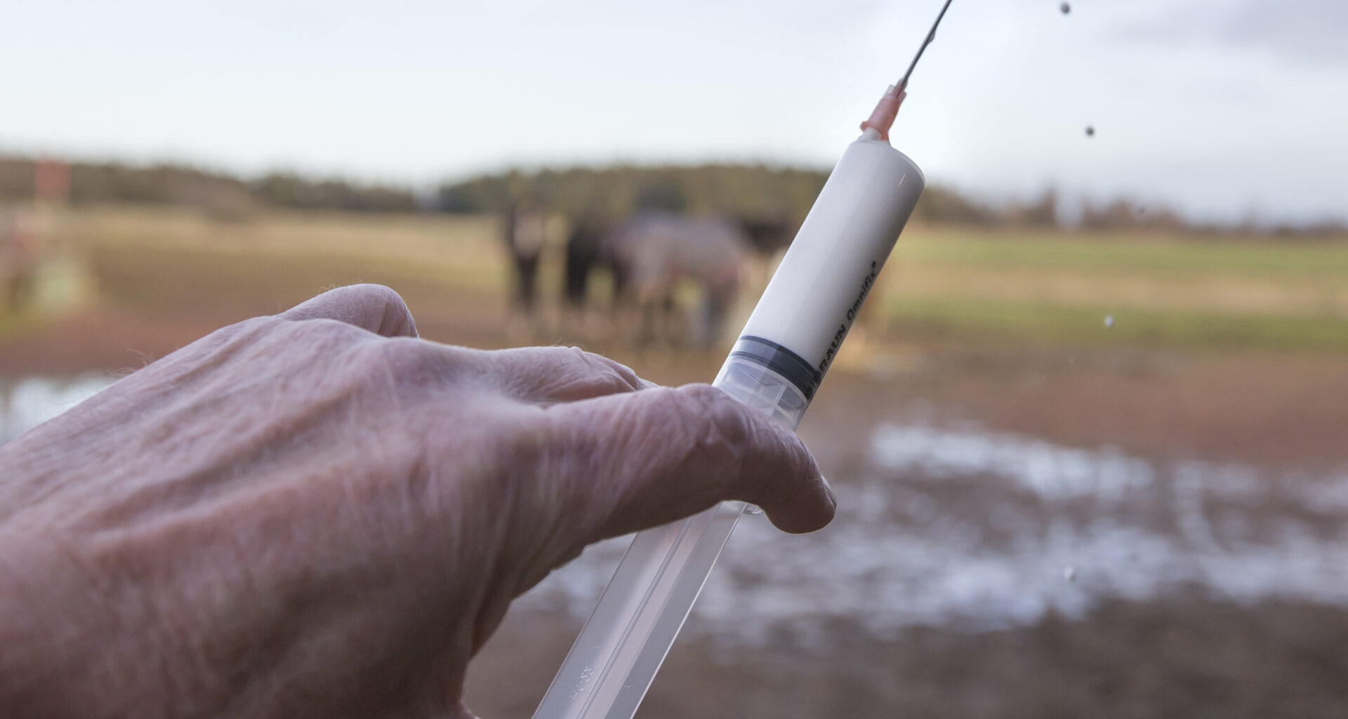 SVA: "Bättre att förebygga än att behandla"