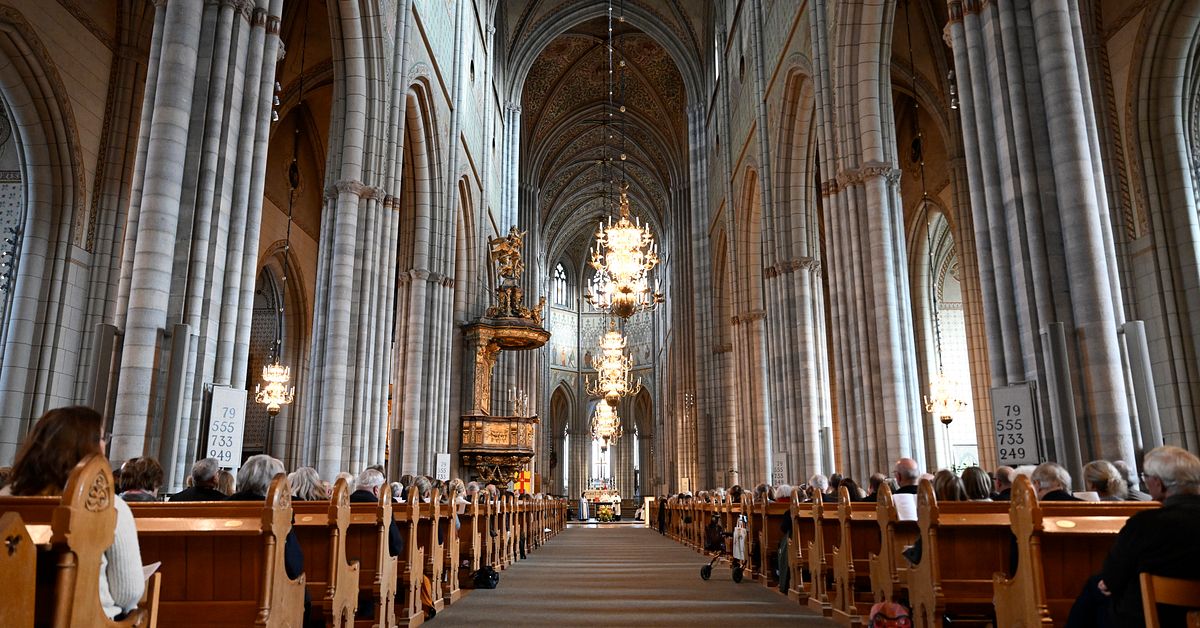 Kyrkomötet nobbar skogsutredningen – går på kyrkostyrelsens förslag