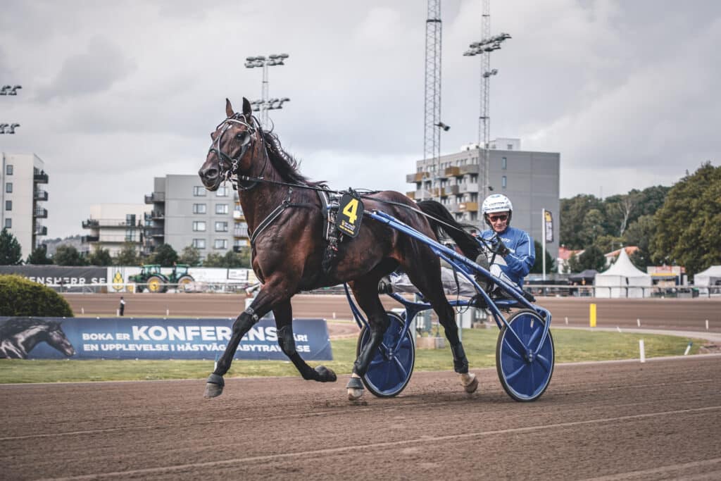 V64 Tips Romme 1/12: Veckan inleds på Romme!