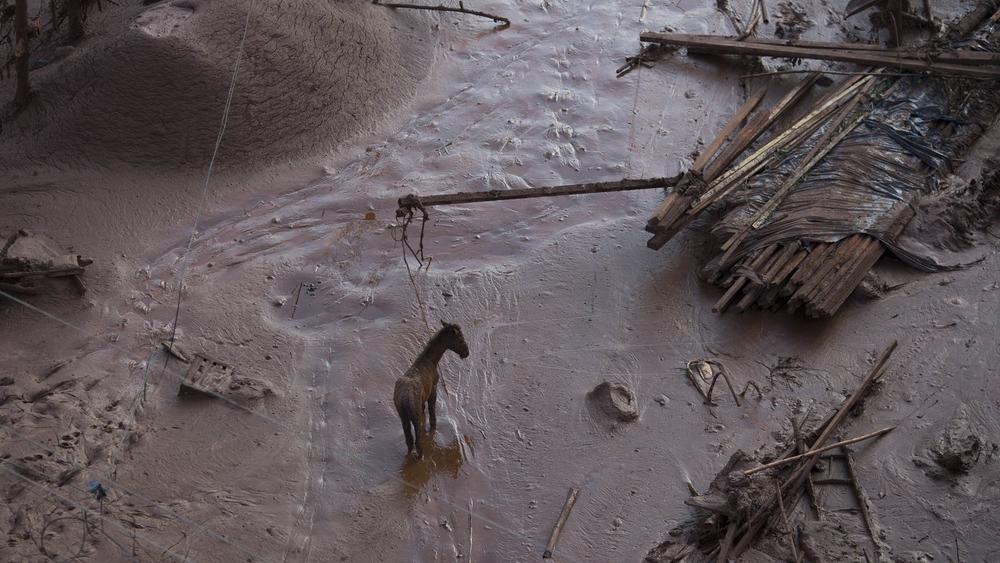 Domstol: Gruvbjässe skyldig till miljökatastrof