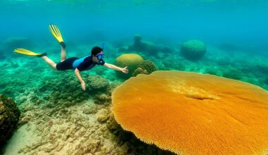 Korallerna utanför Marshallöarna – ett litet hopp i en mörk framtidsbild