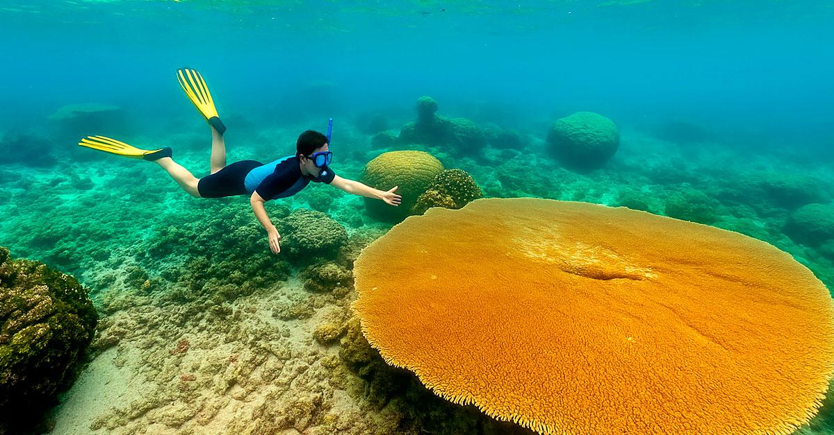 Korallerna utanför Marshallöarna – ett litet hopp i en mörk framtidsbild