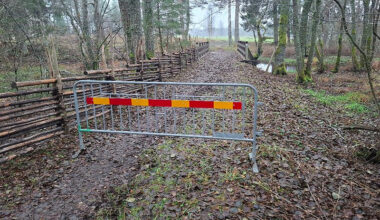 Ridolyckan på Tolvabron: Häst akut till sjukhus