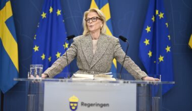 Svantesson: Osäkerhet i USA – det nya normala