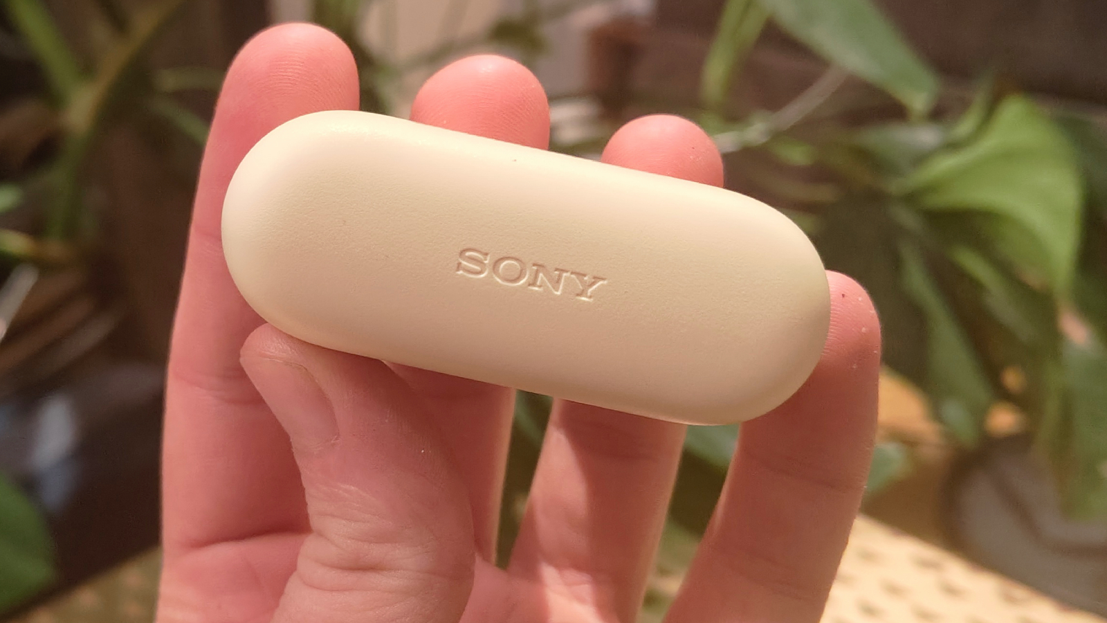 Laddningsfodralet till Sony WF-C510 h&aring;lls upp.