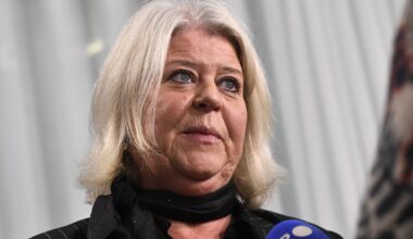 Ministern efter möte om sexdockor: ”En bred samsyn”