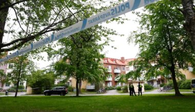 Kastade granat in i lägenhet – får 14 års fängelse