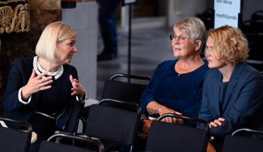 Svenskar har mest tolerans för S, M och C i regering