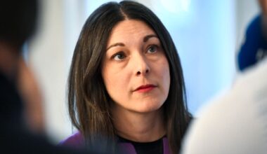 Regeringen uppmanas göra mer mot barnsexdockorna