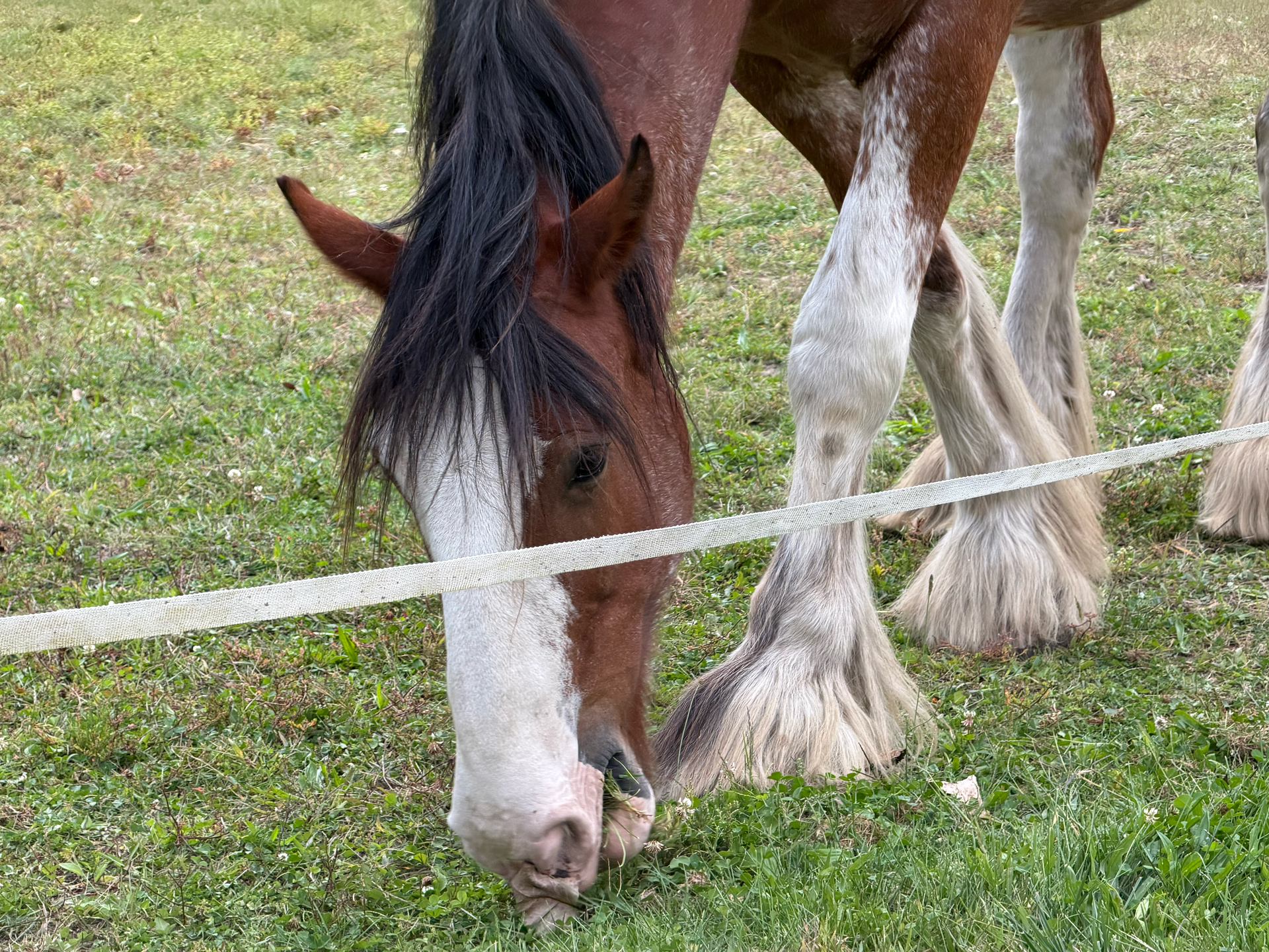 Apple iPhone 17 Pro fotoexempel