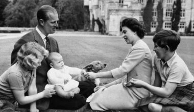 Kungen kände att han inte hade något val