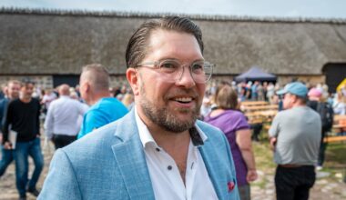 Intern plan ger Åkesson fritt mandat att stoppa statsministerkandidater