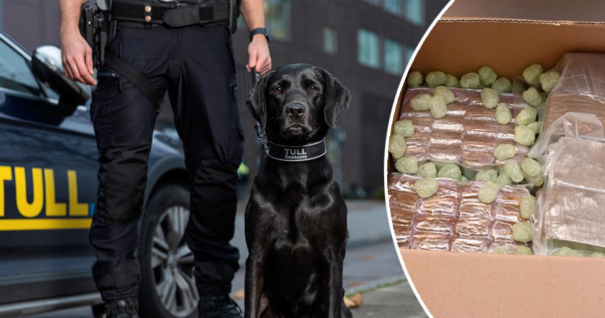 Sexåringen Fanny hittade kilovis med narkotika