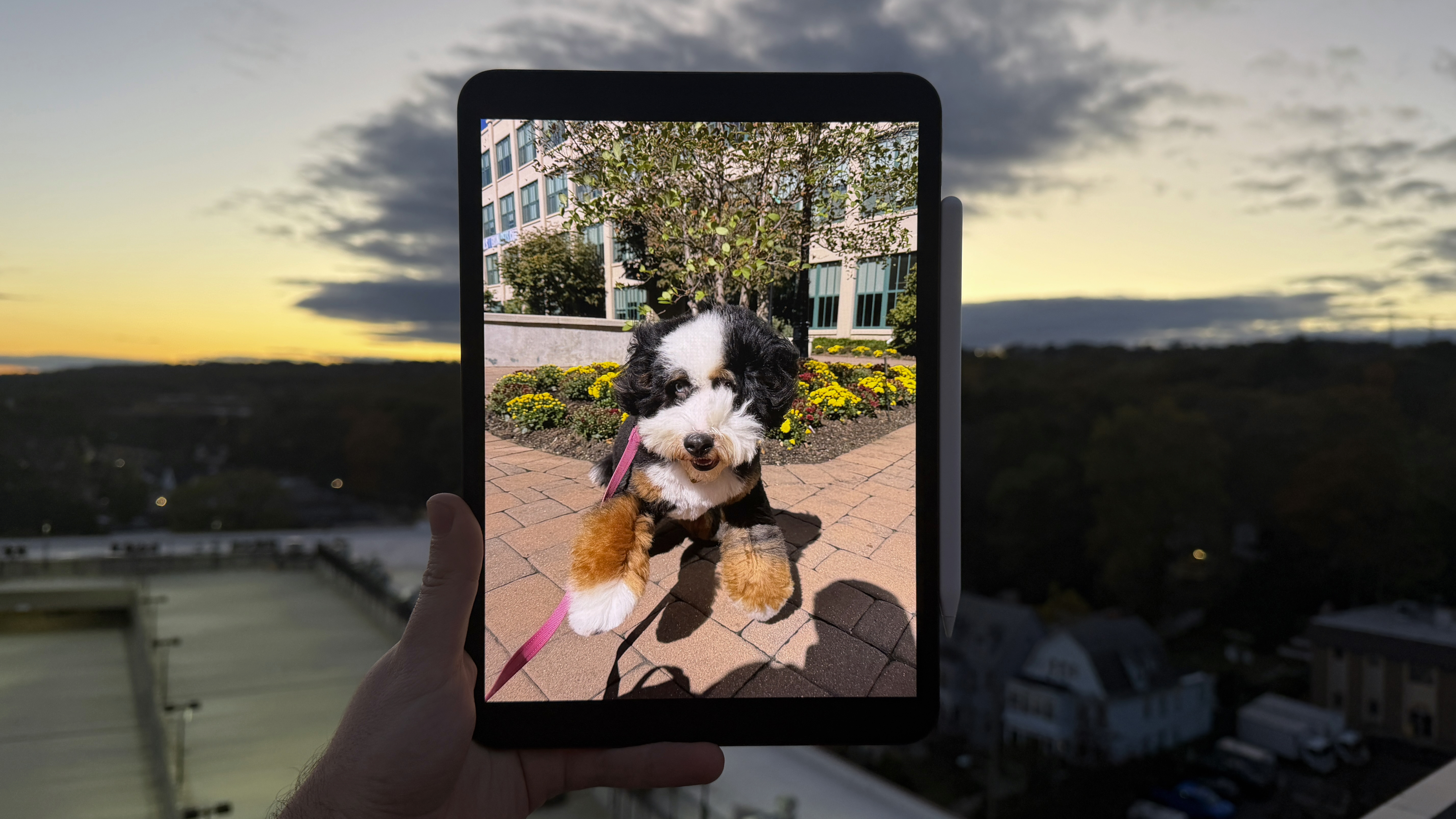 Apple 11" iPad Pro M5 2025