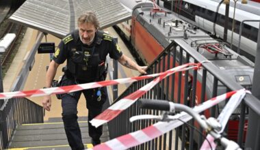 Åklagaren: Svenskarnas dåd fullständigt vanvettigt