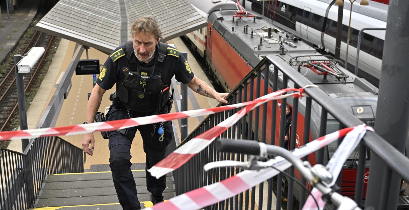 Åklagaren: Svenskarnas dåd fullständigt vanvettigt