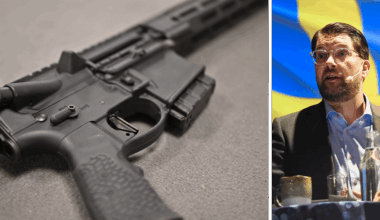 Vapenfrågan splittrar SD: ”Man borde backa helt”