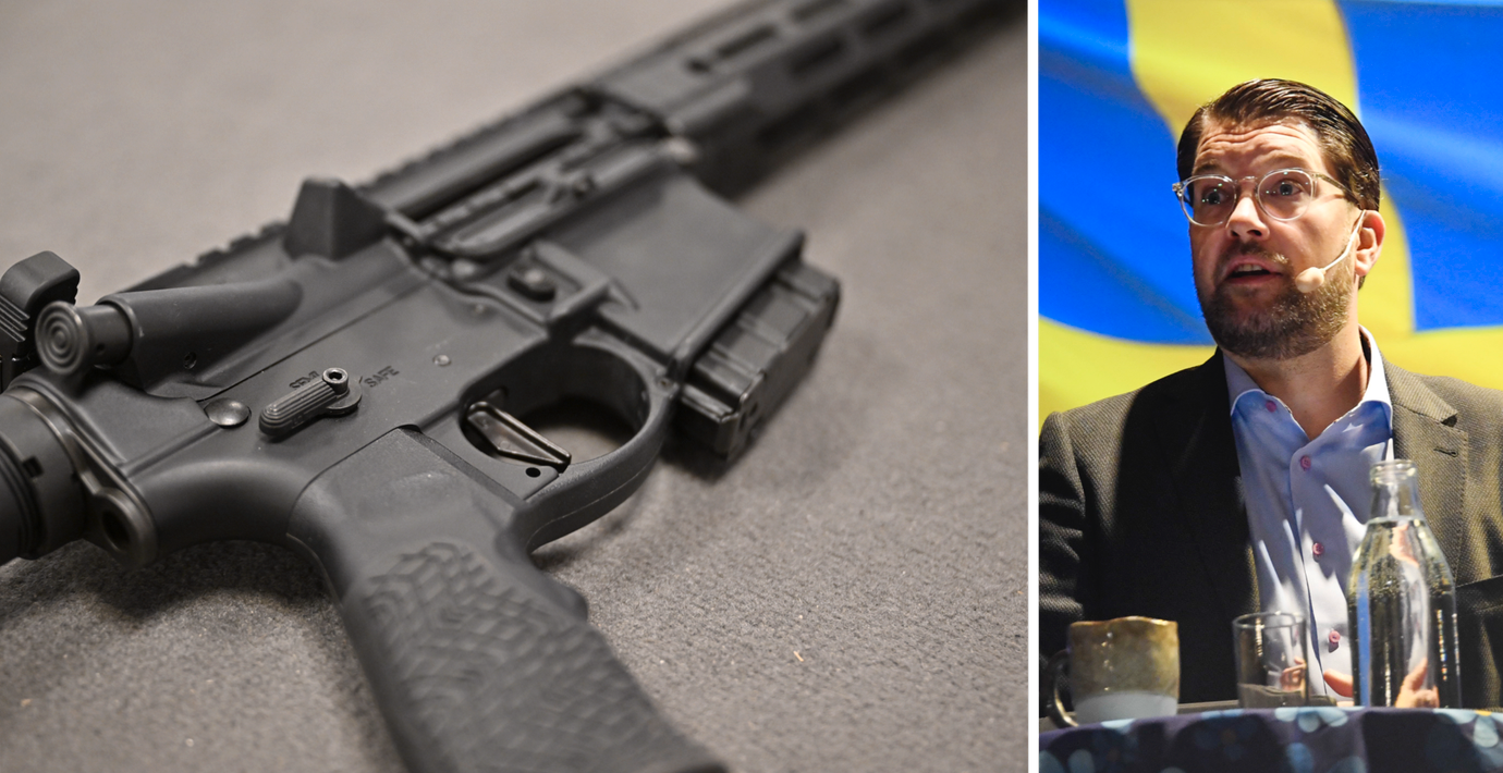 Vapenfrågan splittrar SD: ”Man borde backa helt”