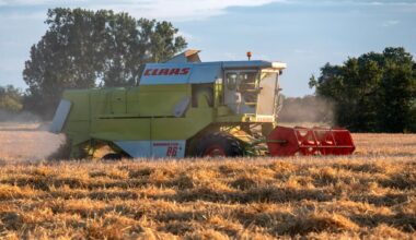 Största spannmålsskörden i Sverige på över 40 år