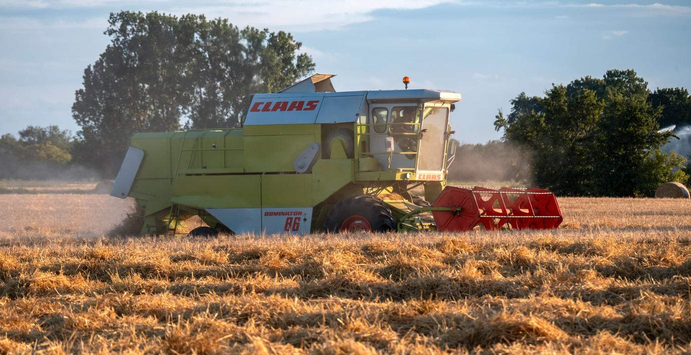Största spannmålsskörden i Sverige på över 40 år
