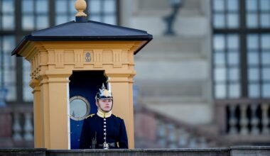 Soldat räddade kvinna ur vattnet vid Kungliga slottet