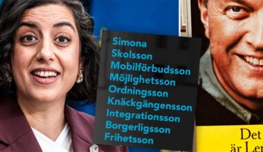 Mohamssons kampanj sågas av pr-experten