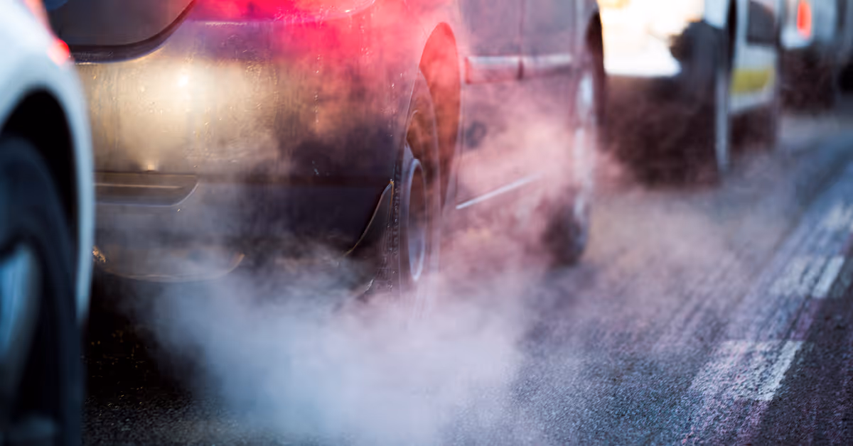 Drygt hälften av kommunerna över föroreningsgräns - SVT Nyheter