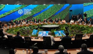 COP30 behöver lyssna på Bill Gates | Bjørn Lomborg