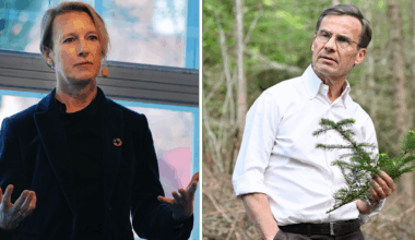 Kräver handling: ”Svensk skogsindustri svartmålas”