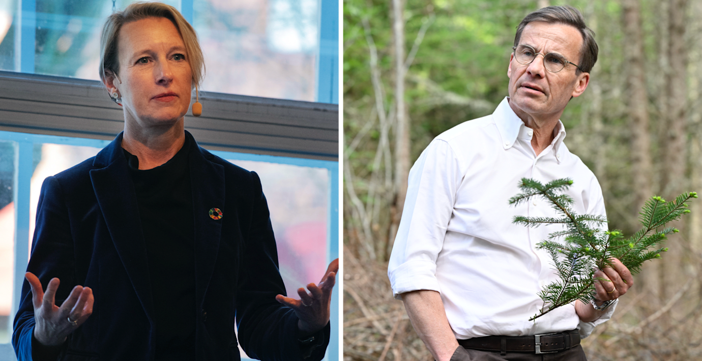 Kräver handling: ”Svensk skogsindustri svartmålas”