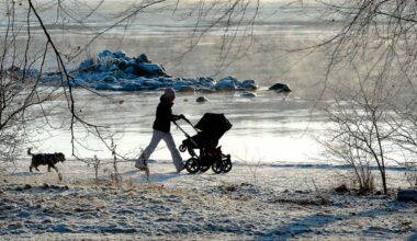 Kollapsad polarvirvel kan ge kyla i flera veckor