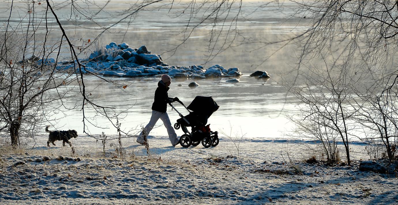 Kollapsad polarvirvel kan ge kyla i flera veckor