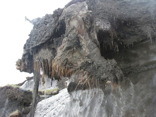 Mammutungen Yuka upptäcktes 2010, i nordöstra Sibirien.