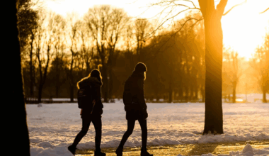 Därför är en långpromenad bättre än flera korta