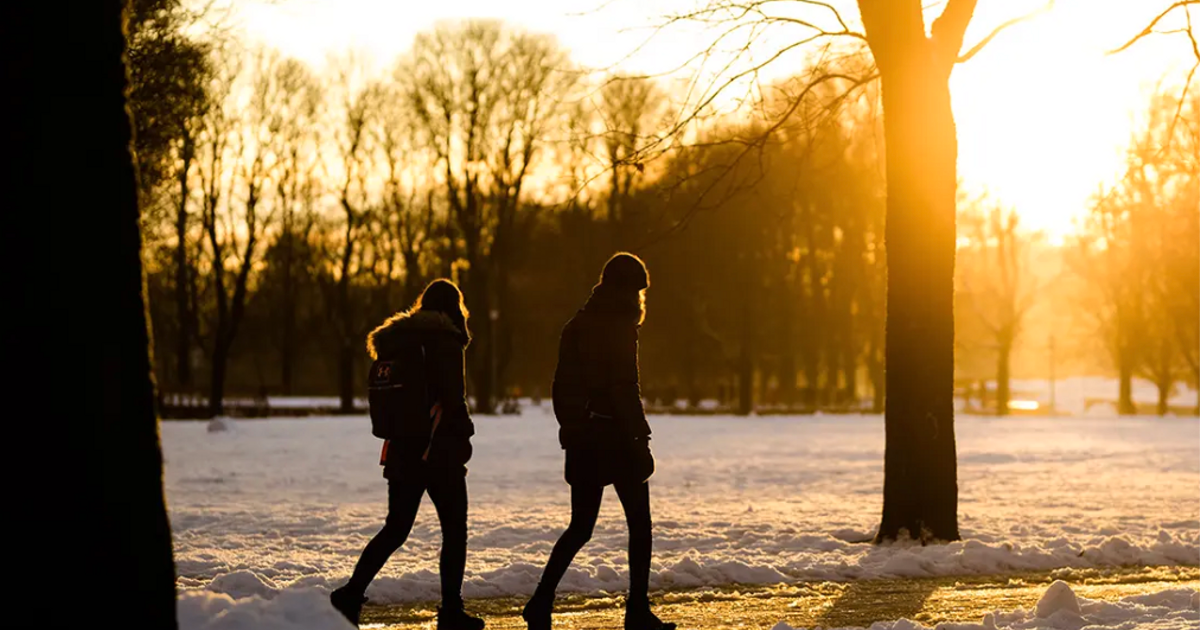 Därför är en långpromenad bättre än flera korta