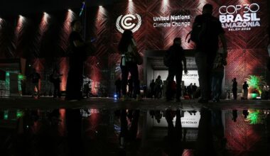 COP30 fossila subventioner och elbilslöften i fokus