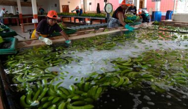 Sänker tullar på en rad varor
