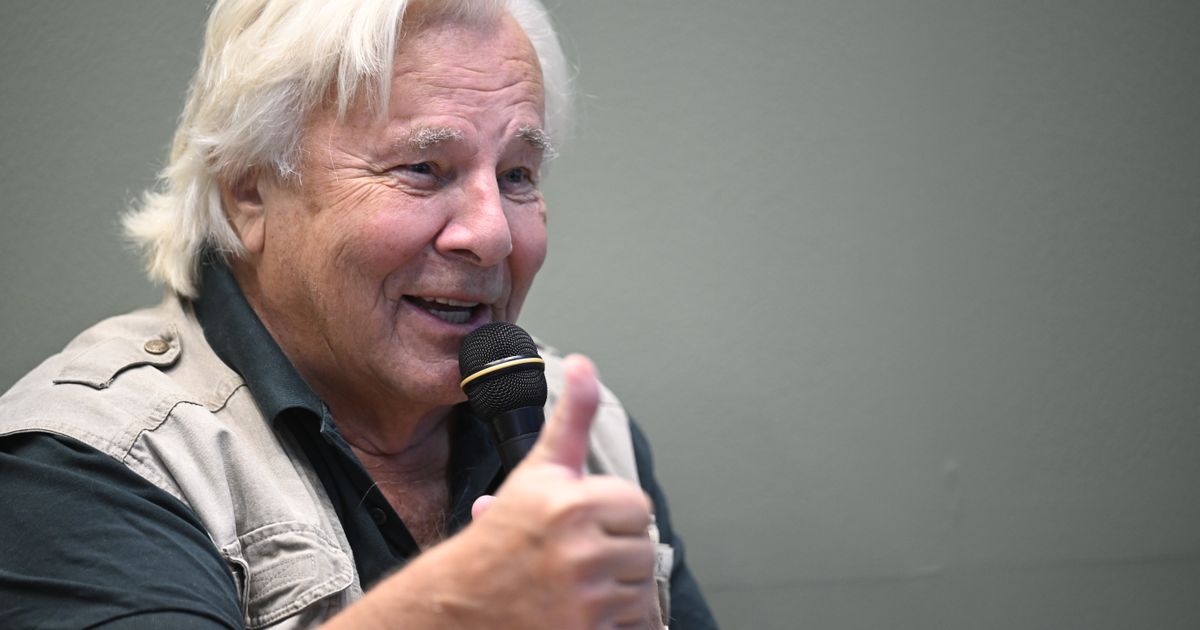 Jan Guillou slungar sten i glashus | Tove Lifvendahl