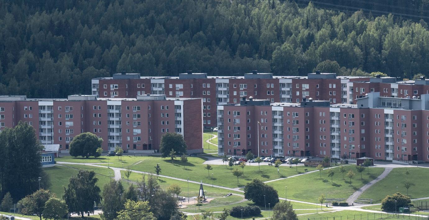 ”Bostadsblandning minskar inte segregationen”