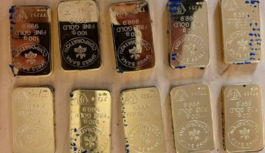 Hantverkare vill dra sig ur striden om guldfyndet i Mölndal