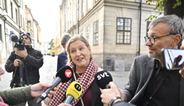 Inför allmän flaggdag för EU i Sverige