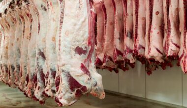 Brist på nötkött i Europa ger stora prishöjningar