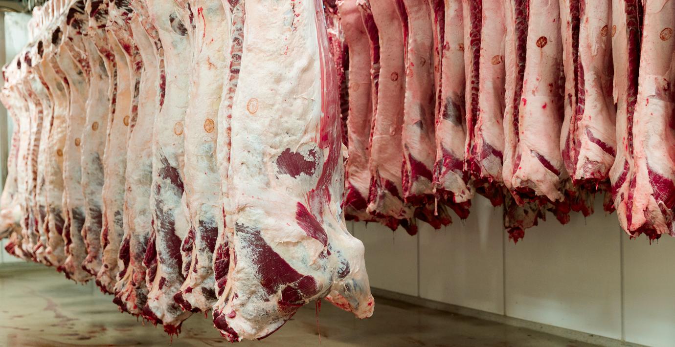 Brist på nötkött i Europa ger stora prishöjningar