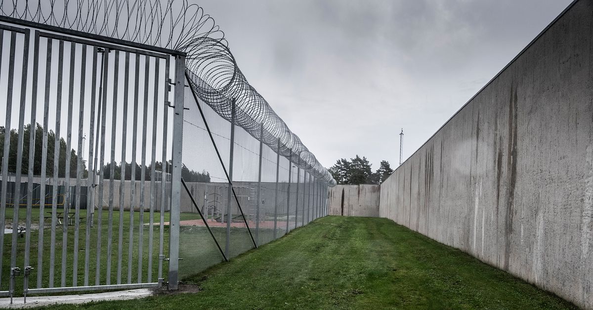 Tung kritik mot sänkt straffålder: Risk att gängen rekryterar 11-åringar