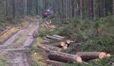 INSÄNDARE: Sluta trakassera oss skogsägare! - Nerikes Allehanda