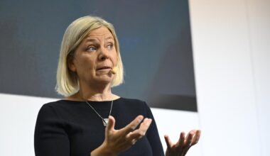 Positivt att de som vill återvandrar