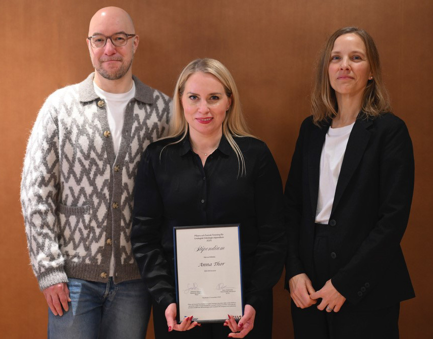 KI-forskaren Anna Thor får stipendium för studier inom testikelcancer